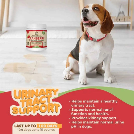 Pooch UTI Relief & Kidney Boost