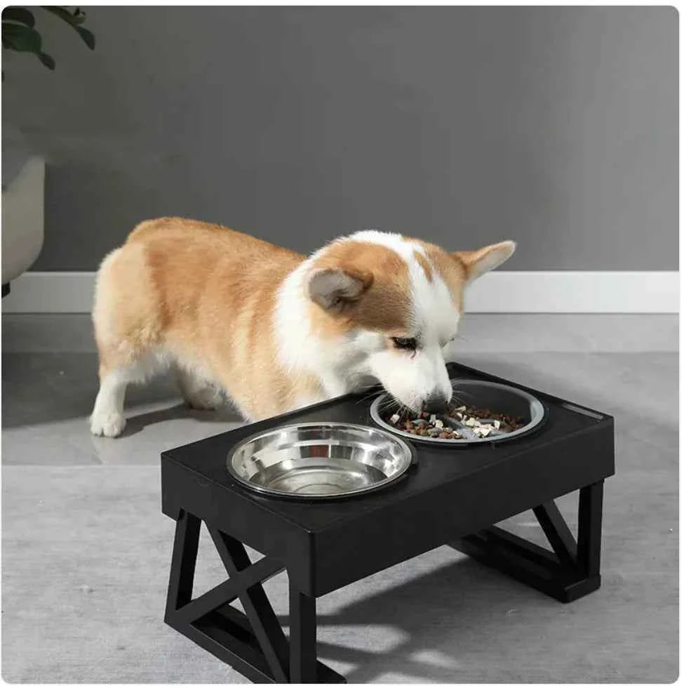Hi-Rise Slow-Feeder for Dogs