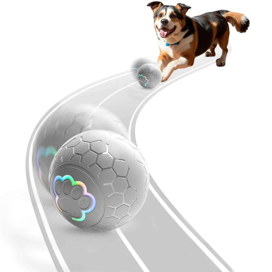 PupJoy Smart LED Play Ball