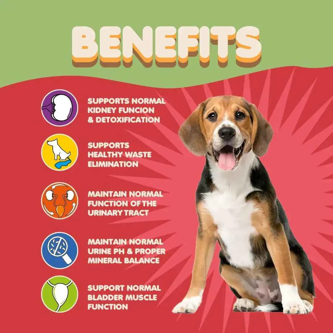Pooch UTI Relief & Kidney Boost