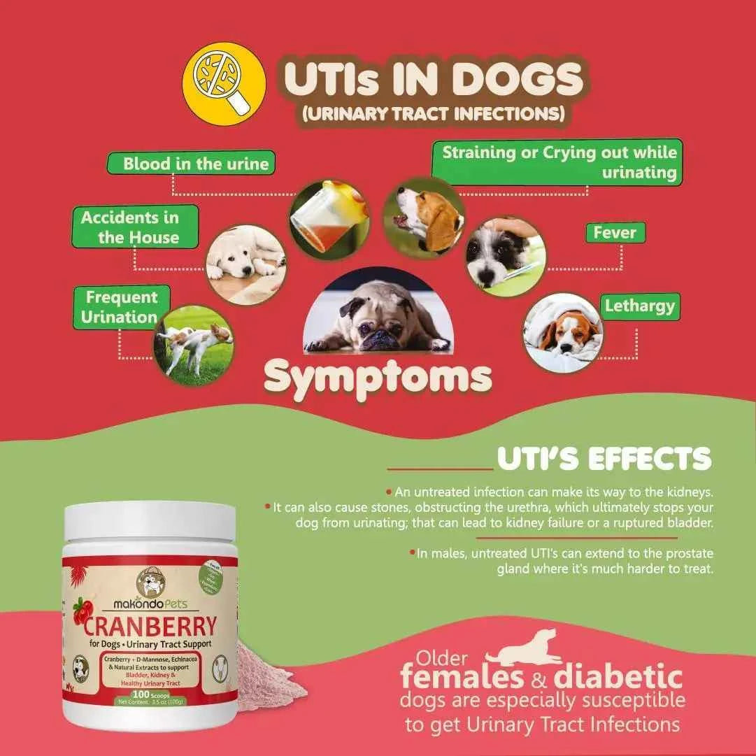 Pooch UTI Relief & Kidney Boost
